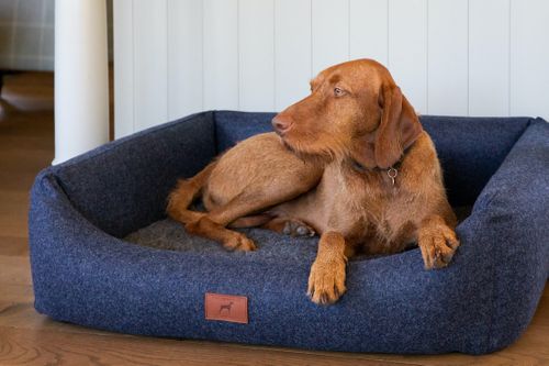 Luxury Dog Beds